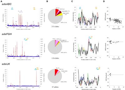 Identification of Promoter Region Markers Associated With Altered Expression of Resistance-Nodulation-Division Antibiotic Efflux Pumps in Acinetobacter baumannii